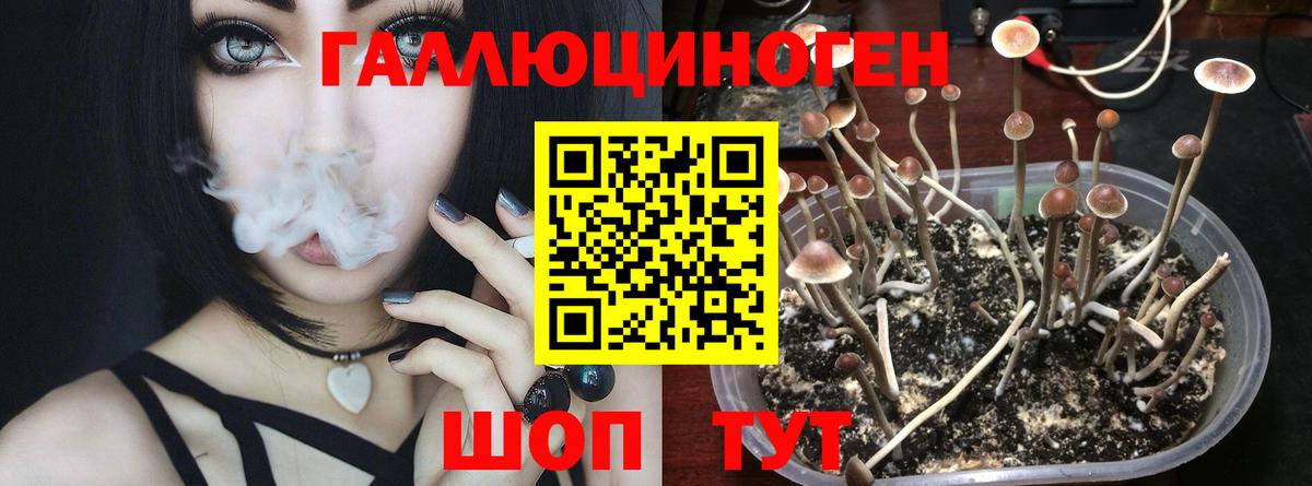 Галлюциногенные грибы мухоморы  Галлюциногенные грибы ЛСД  Вход с VPN  Дмитров 